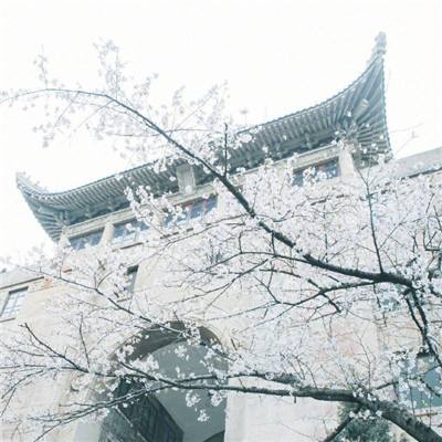第四届“中国好家风”中华优秀传统文化全国公益入校活动闭幕仪式举行